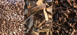 Indian Spices